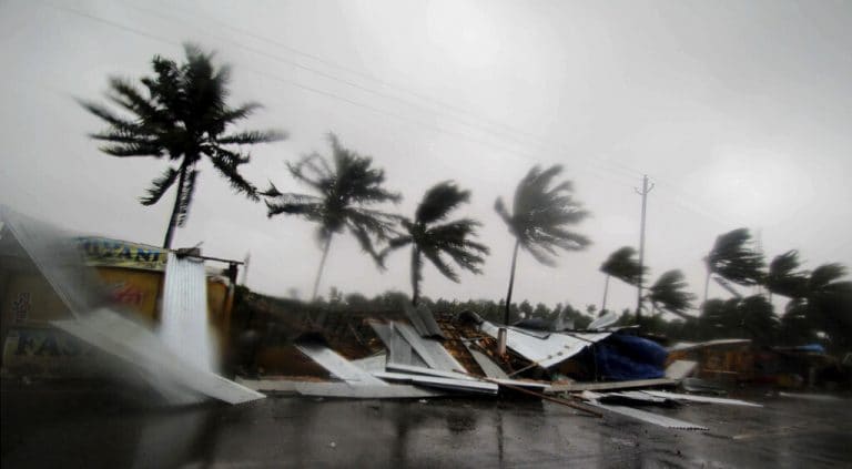 Cyclone Fani突然树木，触发了西孟加拉邦的大雨