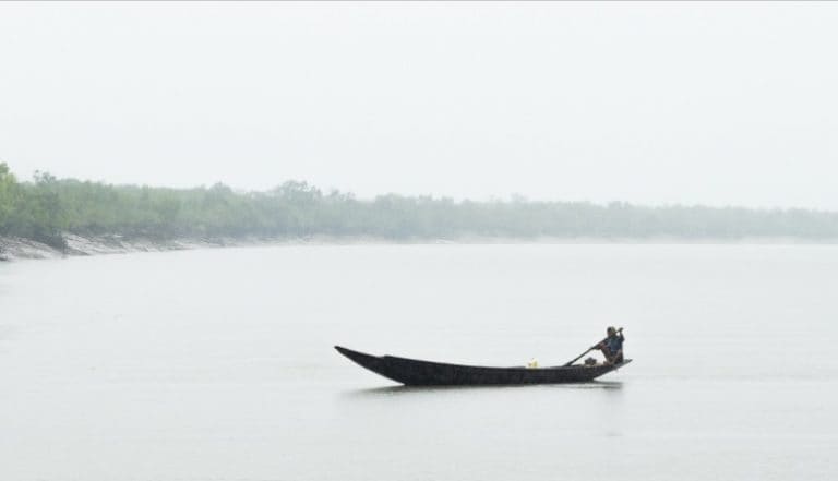 在脆弱的Sundarbans Delta幸存下来：新政府是否会回应？